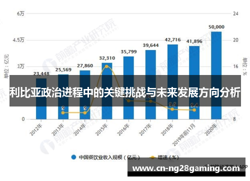 利比亚政治进程中的关键挑战与未来发展方向分析