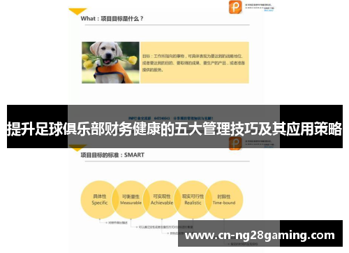 提升足球俱乐部财务健康的五大管理技巧及其应用策略
