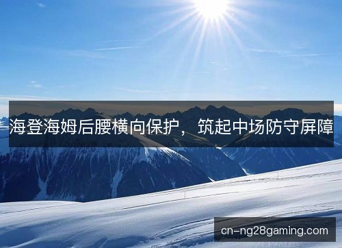 海登海姆后腰横向保护,筑起中场防守屏障 海登海姆后腰横向保护,筑起中场防守屏障