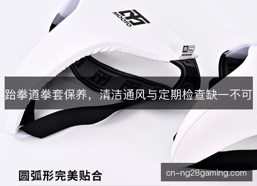 跆拳道拳套保养，清洁通风与定期检查缺一不可