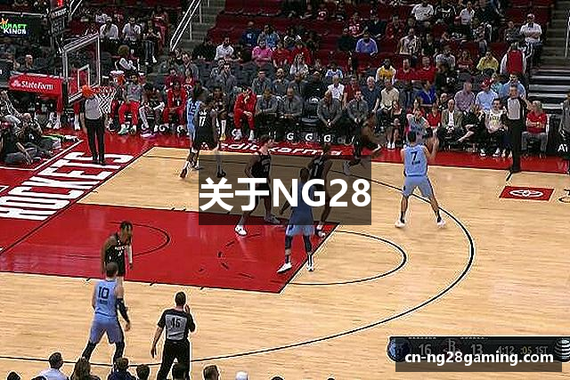 关于NG28
